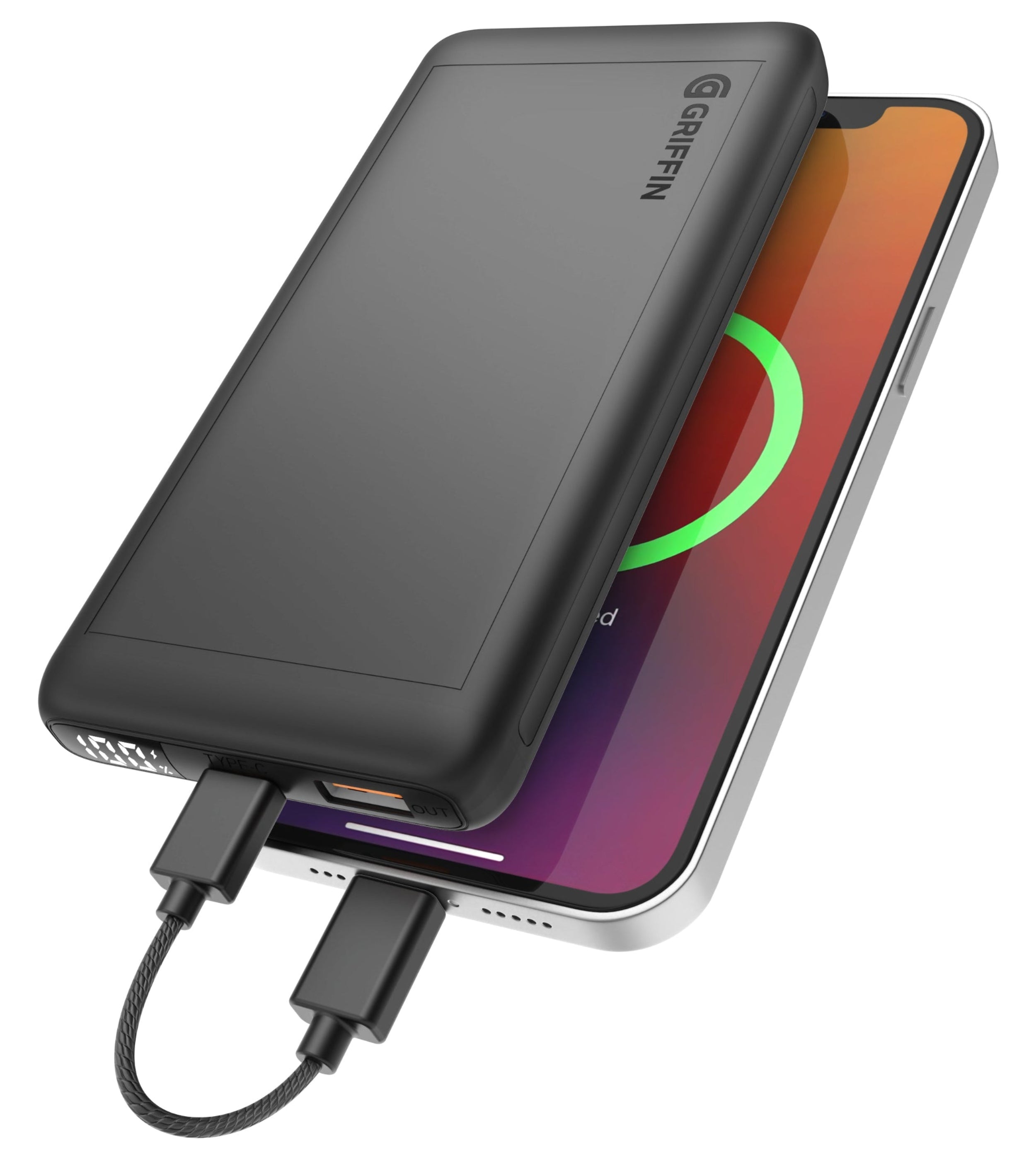 Грифон в ИСБ: Символ, Знак и Боевой Дух