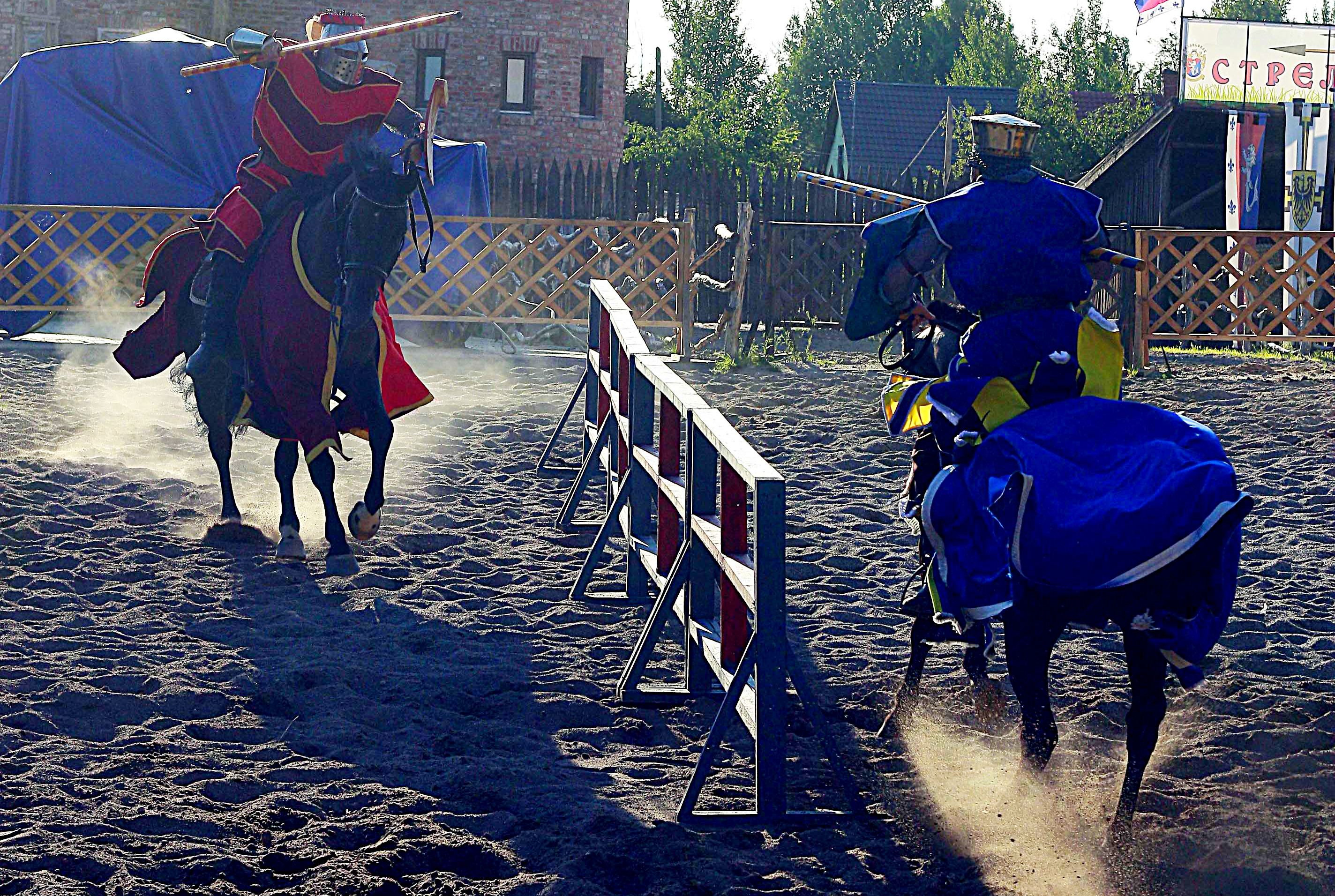 Рыцарский турнир на конях: искусство, зрелище и подготовка к войне