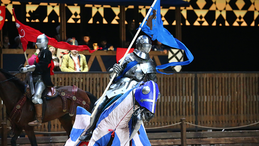 Рыцарский турнир в Москве: возрождение средневековых традиций в современной России