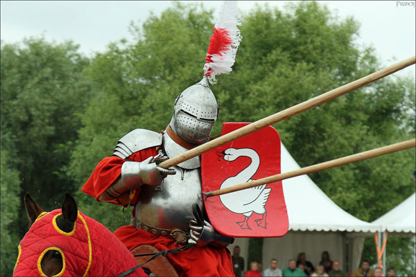 Тарч: главный щит рыцаря в эпоху пластинчатых доспехов